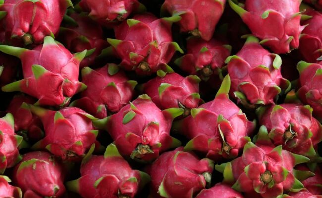 Can Rabbits Eat Dragon Fruit?