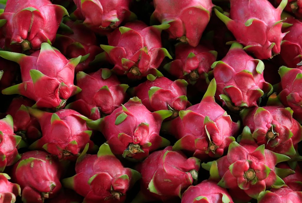 Can Rabbits Eat Dragon Fruit?